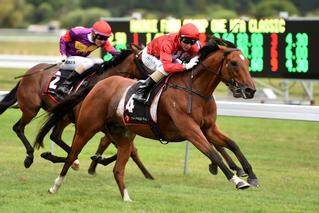 Volkstock’n’barrell wins Group 1 Haunui Farm WFA Classic at Otaki. Photo Credit: Race Images.